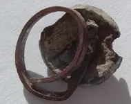 DSCF2488.webp