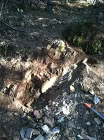 photo 1 11-8 notes.webp