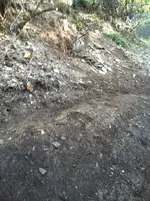 photo 4 11-8 notes.webp