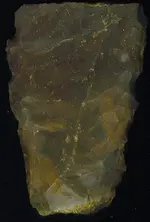 scraper_1n.webp