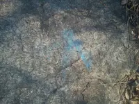 IMG-20161002-WA0009.webp