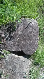 IMG-20161219-WA0007.webp