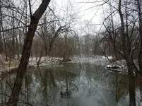 20161217_111332.webp