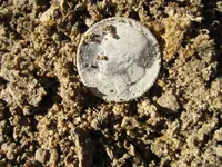 Fisher F75 4 Silver Dimes 013.webp