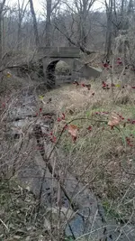 Abandoned-bridge.webp