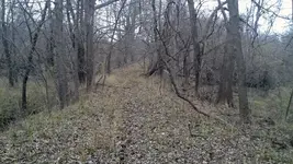 Abandoned-road.webp