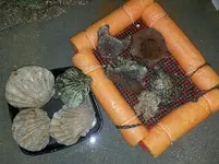 20161207_184643.webp