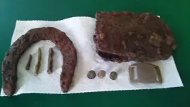 1106161235.webp