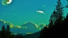 DSCN8615.webp