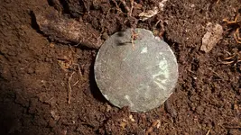DSCF0247.webp