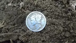 DSCF0251.webp