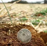 1857 dime.webp