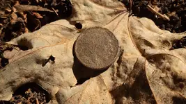 DSCF0258.webp