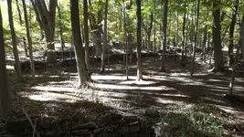 DSCF0259.webp