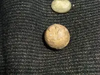 DSCN1302.webp