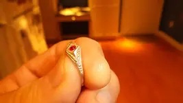 DSCF0281.webp