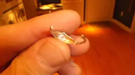 DSCF0282.webp