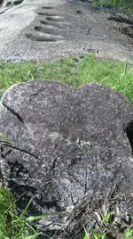 IMG-20161219-WA0011.webp