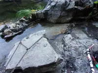 100_0009.webp
