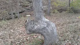 20161022_085220.webp