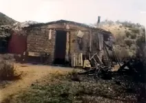 Cabin.webp