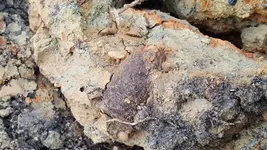 20161111_122258 - Copy (2).webp