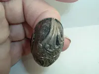 DSCF2441.webp