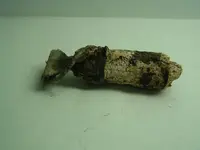 DSCF2450.webp