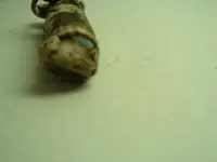 DSCF2451.webp