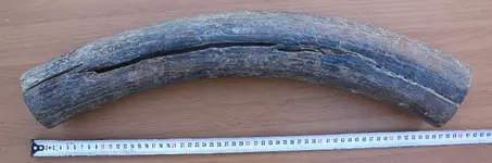7U2A3947.webp