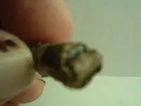 DSCF2455.webp