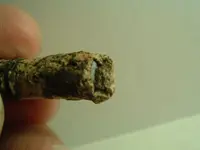 DSCF2456.webp