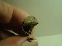 DSCF2458.webp