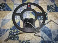 IMG_6149.webp