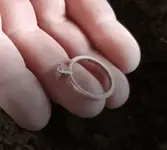 Ring1.webp