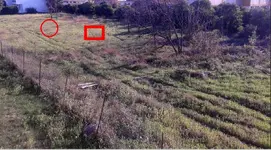 Screenshot_1-kapla.webp