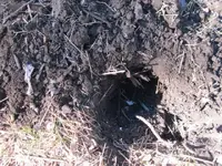 10222016 Hole.webp