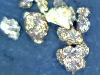 nugs.webp