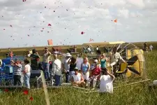 survivors reunion roses.webp