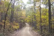 the road home.webp