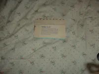Picture 038.webp