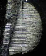 Striations.webp