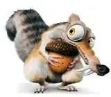 3.webp