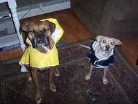 sammy and nely.webp