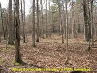 HomesteadSite227.webp