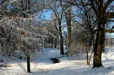 HSPICTURES 283 (Changed).webp