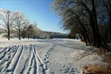 HSPICTURES 302-Changed.webp