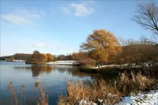 HSPICTURES 161-Changed.webp