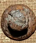 RR button reverse.webp