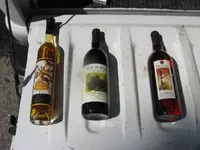 pic 001.webp
